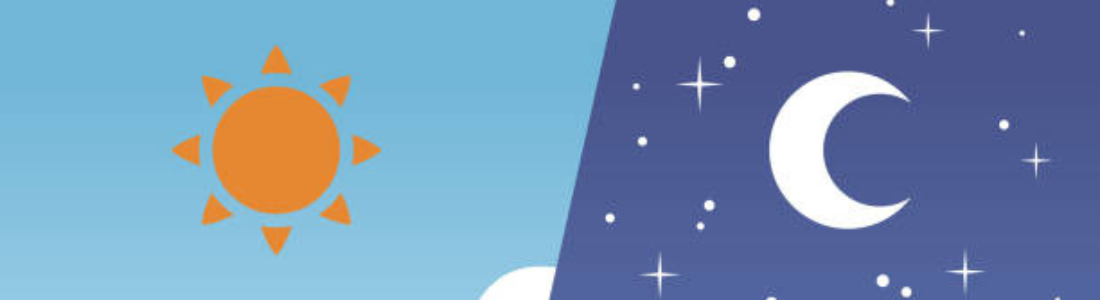 Dedetizadora 24 Horas no ABC  24 HORAS